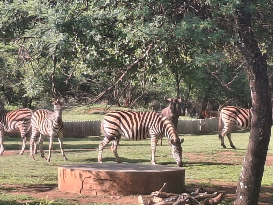 Commercial Property for Sale in Mamogaleskraal AH North West